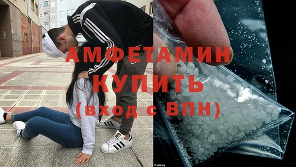 ПСИЛОЦИБИНОВЫЕ ГРИБЫ Вязники