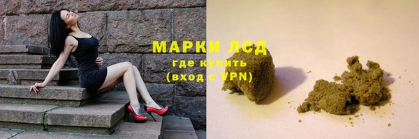 ПСИЛОЦИБИНОВЫЕ ГРИБЫ Вязники