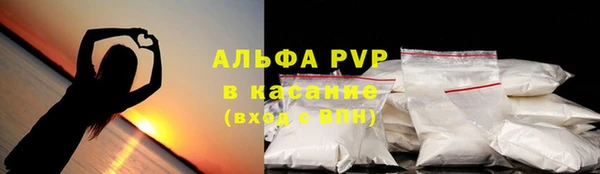 дживик Вязьма
