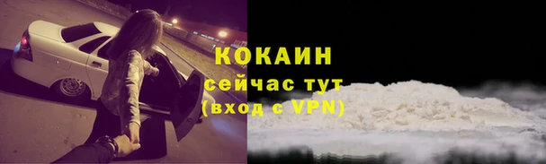 дживик Вязьма