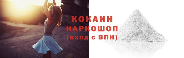 дживик Вязьма