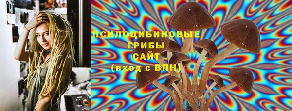 spice Вяземский