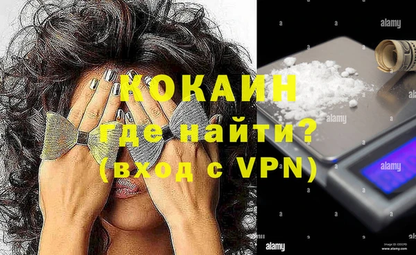 ПСИЛОЦИБИНОВЫЕ ГРИБЫ Вязники