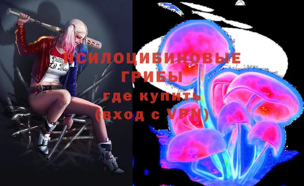 spice Вяземский