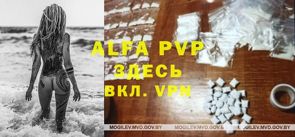 дживик Вязьма