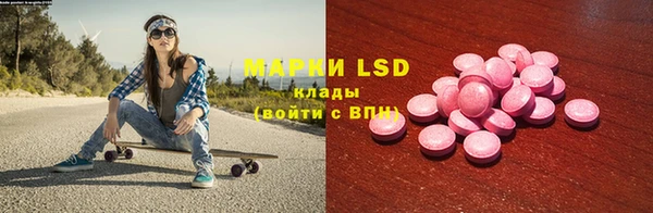 дживик Вязьма