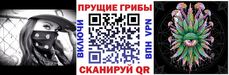 Псилоцибиновые грибы Psilocybine cubensis  Купить где  Сысерть 